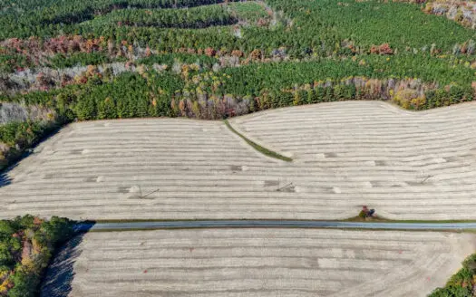 Quiet Country Land Ready for Home or Homestead in Kenbridge, VA