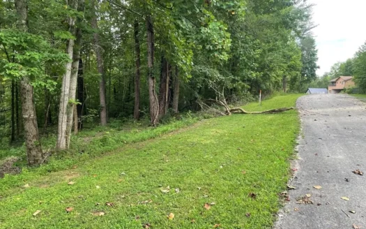 Land in Albany, Kentucky