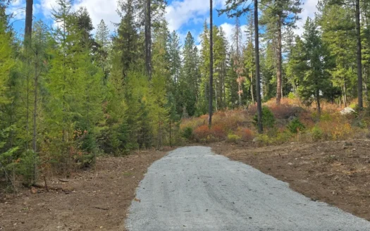 Diamond Lake Large Acreage Parcel in Newport, WA