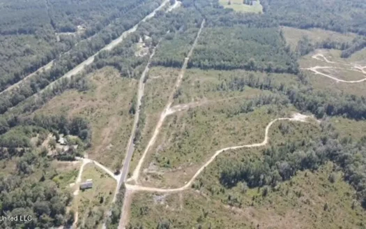 81 Acres Jasper County