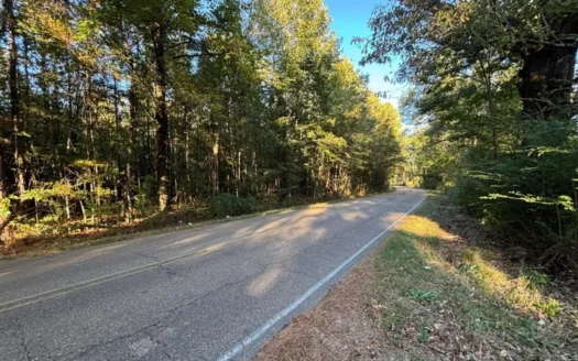 28 Acres for Sale South Jackson, Hinds County, MS