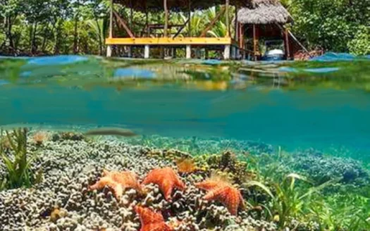 Titled Dolphin Bay Home – Oceanfront Property, Bocas del Toro