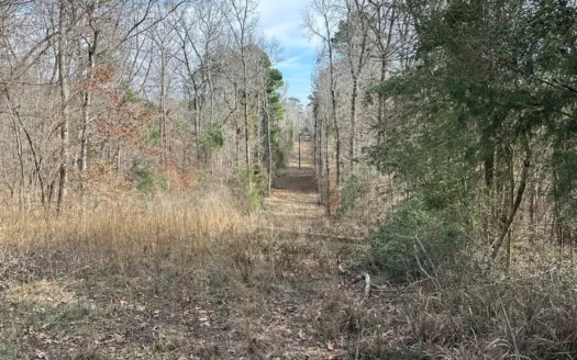 East Texas Hunting/Recreational Land For Sale