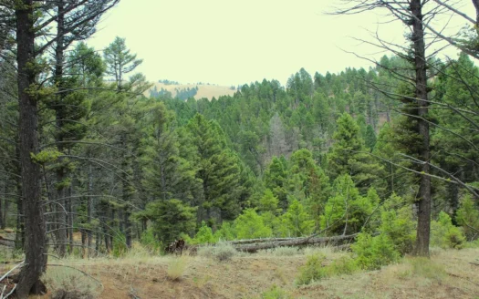 ~14 Acre Gold Mining Claim & Hunting Retreat Near Basin, MT