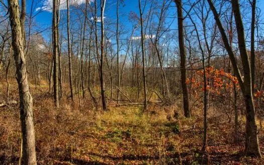Discover 10± acres of pristine Driftless Region beauty atop Turbe