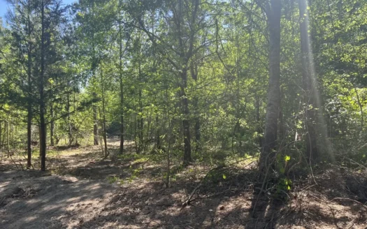 Land in Montgomery County