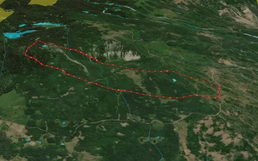 Buckhorn Lakes Mountain Hunting Ranch 330 Acres