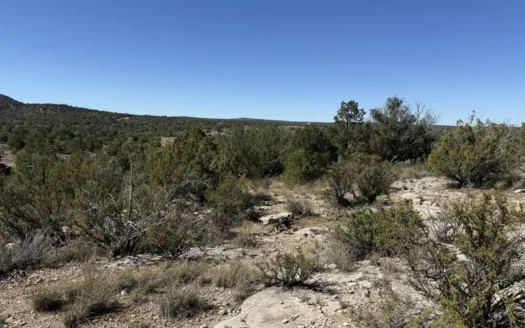 Off-grid Mountain Property for Sale in Seligman AZ