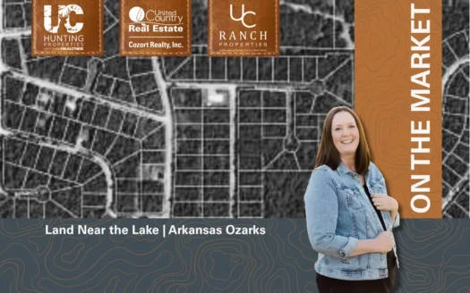 Land For Sale near Lake in Arkansas