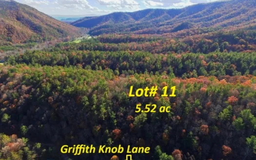 Wooded Lot For Sale In Wytheville VA