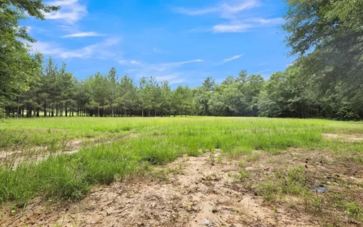 East Texas Unimproved Land for Sale in Tyler Smith County