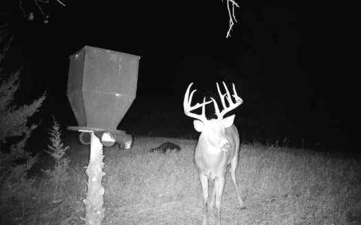 Beautiful Jewell County Kansas 80