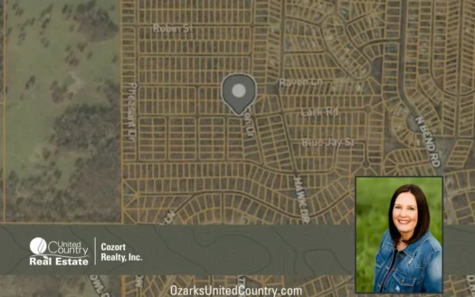 Land For Sale near Lake in Arkansas