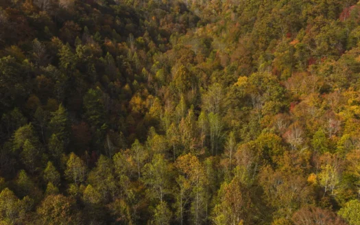 15 Acres of Hunting Land in Hancock County Tennessee For Sale