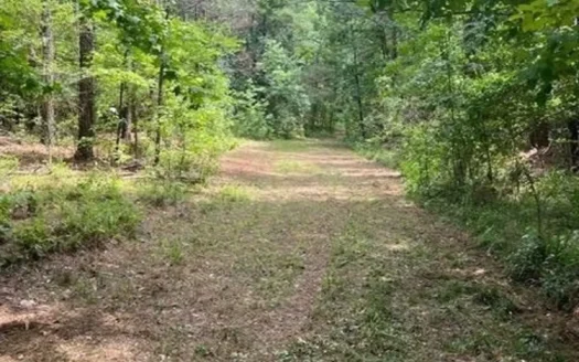 10 Acre Homesite in Hinds County