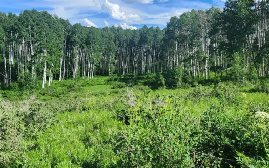 Colorado Hunting Property for Sale