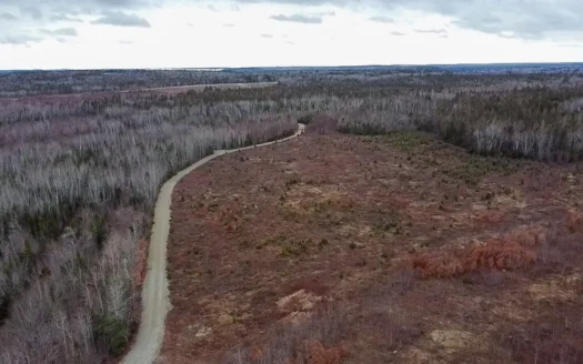 327± Acres with 3500 Feet of Brook Frontage