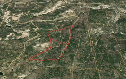 Colorado Mountain Land For Sale Building Site