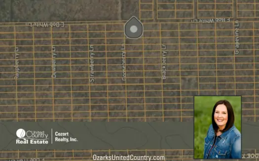 Land for Sale in Horseshoe Bend, Arkansas