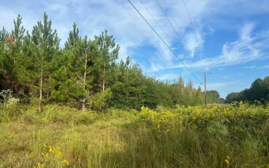 6+- Acres for Sale in North Pike School District Summit, MS