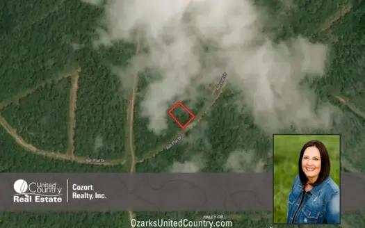 Land For Sale near Lake in Arkansas