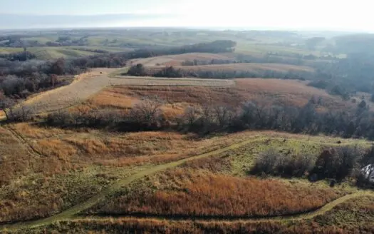 Trophy Hunting, Income Producing & Potential Building Site