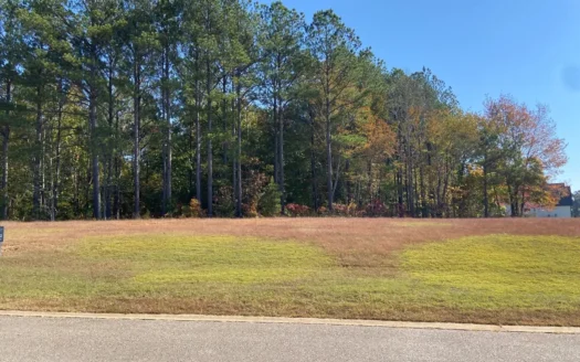 Land To Build On In Gated Community Near Pickwick Lake