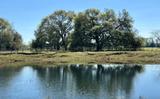 128 Acres North Florida Land For Sale In Hamilton County, FL