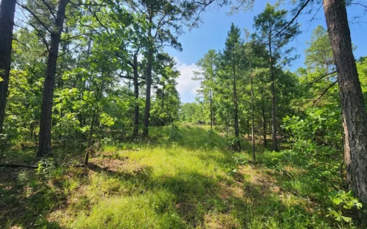 Recreational Property – National Forest Area