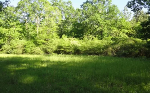 Land For Sale Hunting Land Amite County Magnolia Mississippi