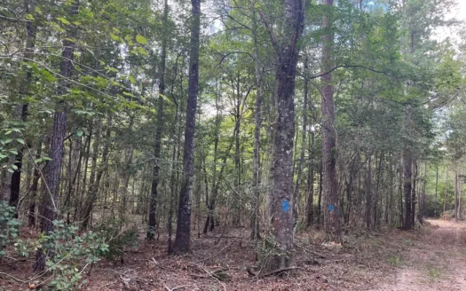 Hunting Land for sale within West Bay WMA near Elizabeth, LA