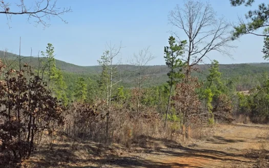 19.5 Acre Off-Grid Cabin Building Location – Mountain Views