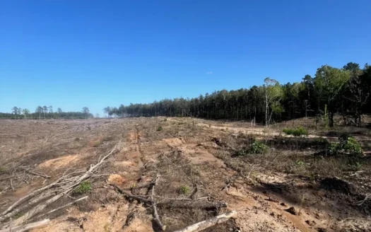 Jackson Parish Timber Tract 4 For Sale