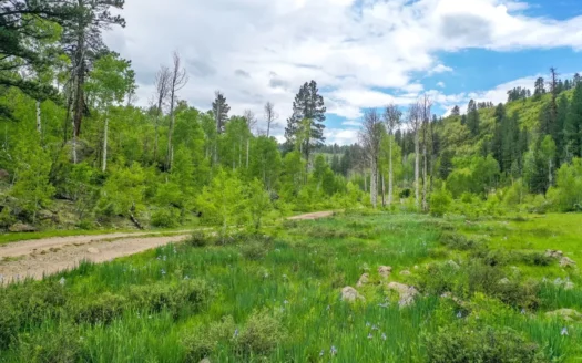 High country paradise in southwest Colorado