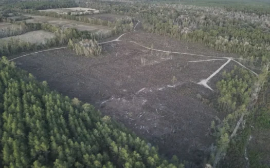 Diverse Timberland W/ Creek for Sale in Vernon Parish, LA