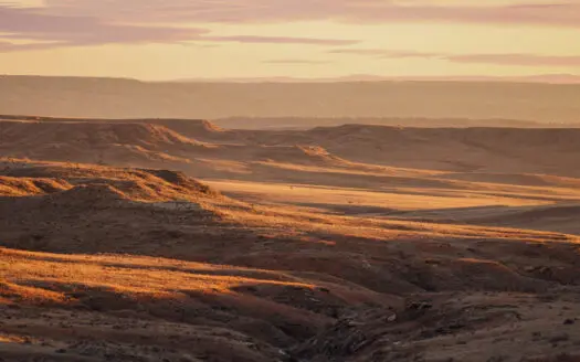 S Bar Ranch – 19,816± Acres North of Custer, Yellowstone County