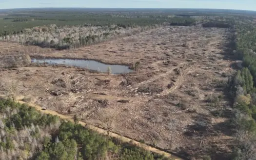 Cleared Land W/ Pond W/ Road in Calhoun County, Arkansas for sale