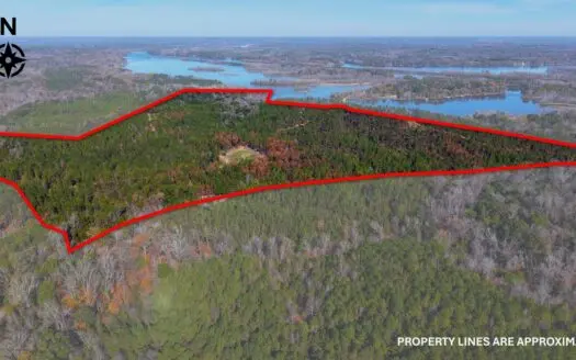 Alabama River Bluff Hunting & Timberland 188 Acres