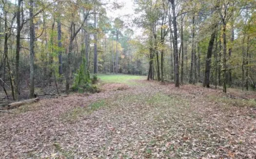 Roxie Mississippi – 94 Acre Recreational Retreat