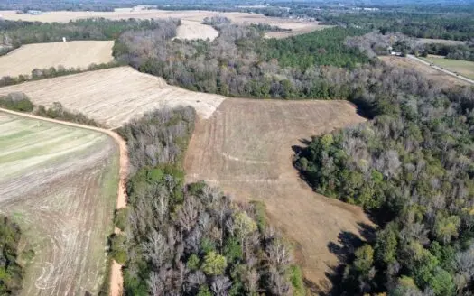 Land for Sale in Reeltown, AL – Prime Open Land