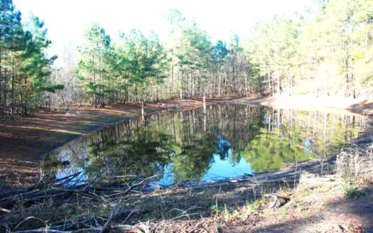 East Texas Land for Sale Near Hawkins in Wood County