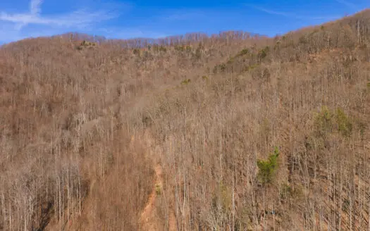 Large Land Tract for Sale in Taylorsville NC