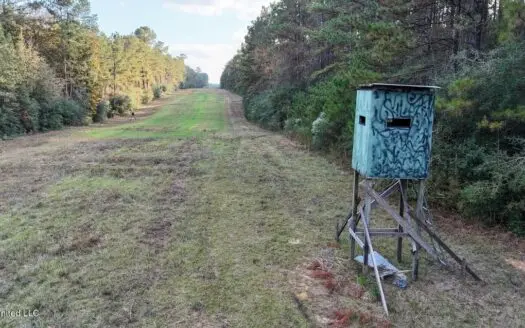 Prime Hunting Property in St Helena Parish, LA