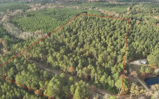 Pine Timberland /W County Road /Utilities /Chidester, AR for sale