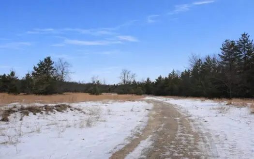 Acreage for sale 7.9 Acres – Parcel 4 in Atlanta MI