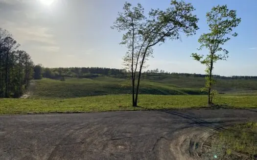 Land For Sale In Tn, 7.6 Acres+/-, Open Land