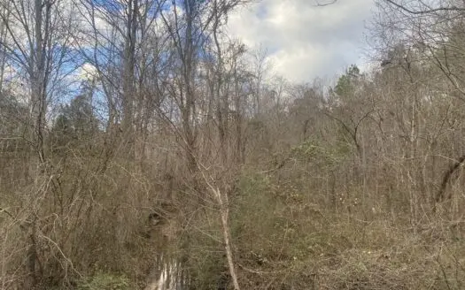 Land For Sale In Tn, 6.06 Acres+/-, Creek, Wooded