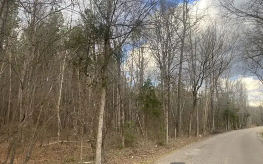 Land For Sale In Tn, 6.22 Acres+/- In Mcnairy County, Tn