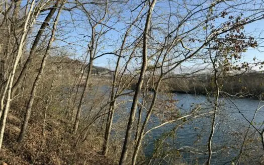 Level riverfront lot on the White River in Guion Arkansas
