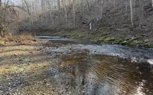 120 Acre Farm, Hunting Property, CREP Income, Creek Frontage